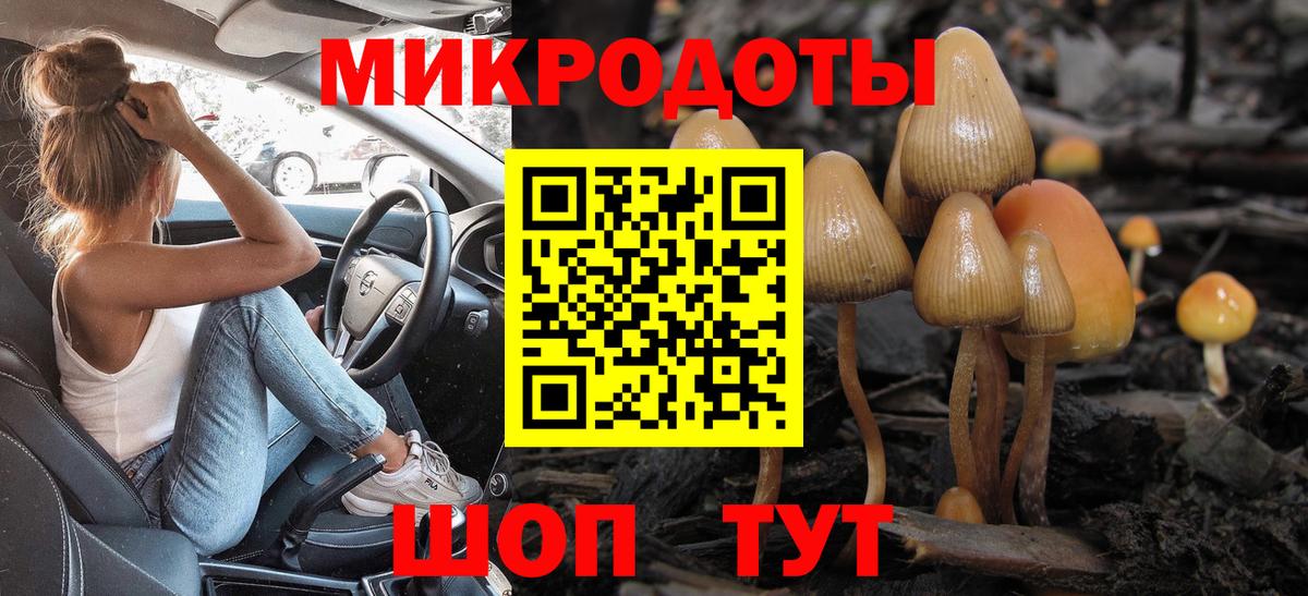 Псилоцибиновые грибы прущие грибы  Вход с VPN  Тамбов 